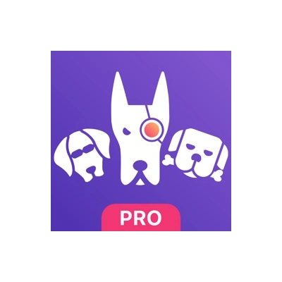 ⚡️ Моя статистика для ВКонтакте iPhone ios Appstore +🎁